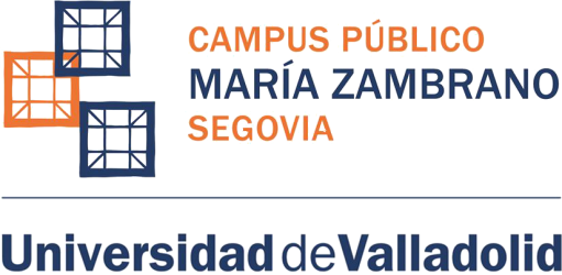 UVa Segovia